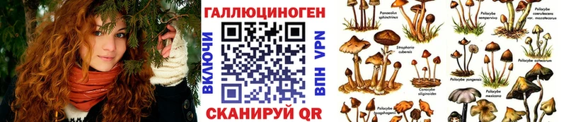 Псилоцибиновые грибы прущие грибы  Купить закладки  Галич 